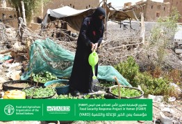 Food Security Response Project in Yemen (FSRRP)